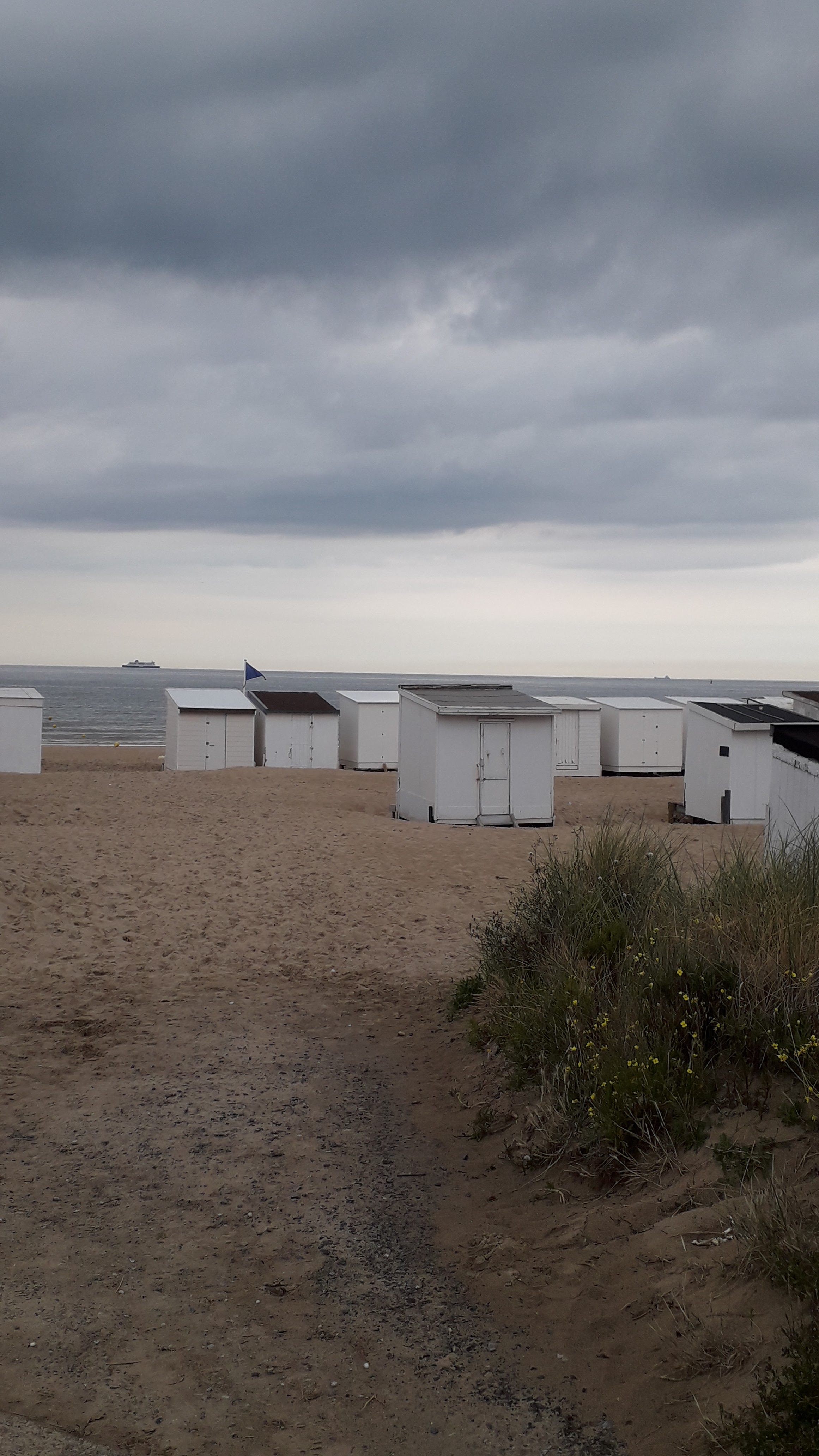 Photo n° 5 de l'avis de La.a fait le 17/07/2020 à 23:25