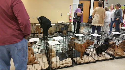 Pet Supply Store «PetSmart», reviews and photos, 635 Vann Dr, Jackson, TN 38305, USA