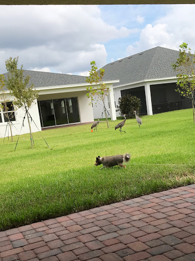 Home Builder «Twin Lakes - Jones Homes USA», reviews and photos