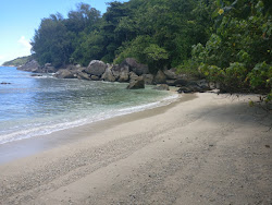 Foto von Wild beach mit sehr sauber Sauberkeitsgrad