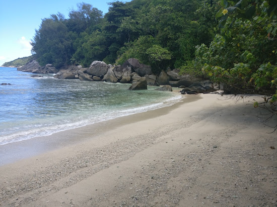 Wild beach
