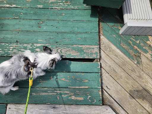 1st Choice Cabin Rentals