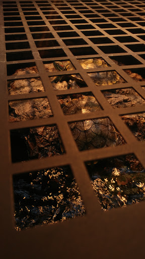 Pet Supply Store «Petco Animal Supplies», reviews and photos, 1401 E Spring Valley Rd, Richardson, TX 75081, USA