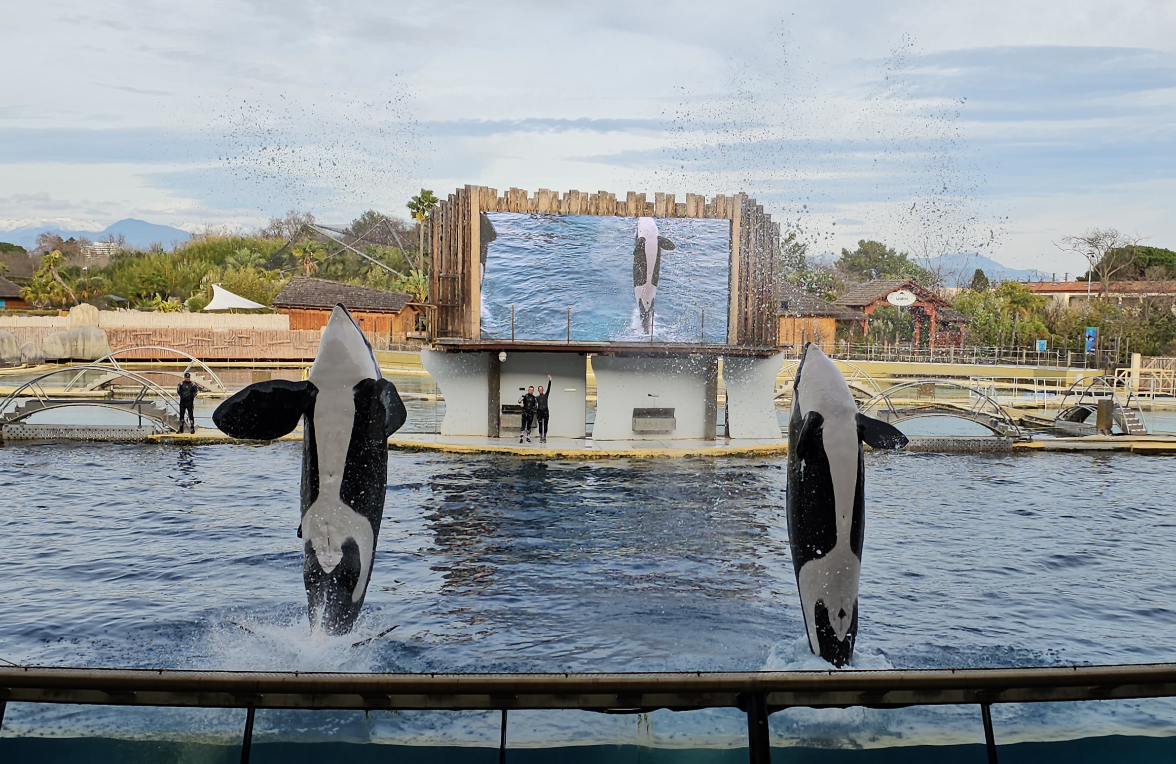 Photo n° 3 de l'avis de Olivier.u fait le 06/01/2024 à 09:59