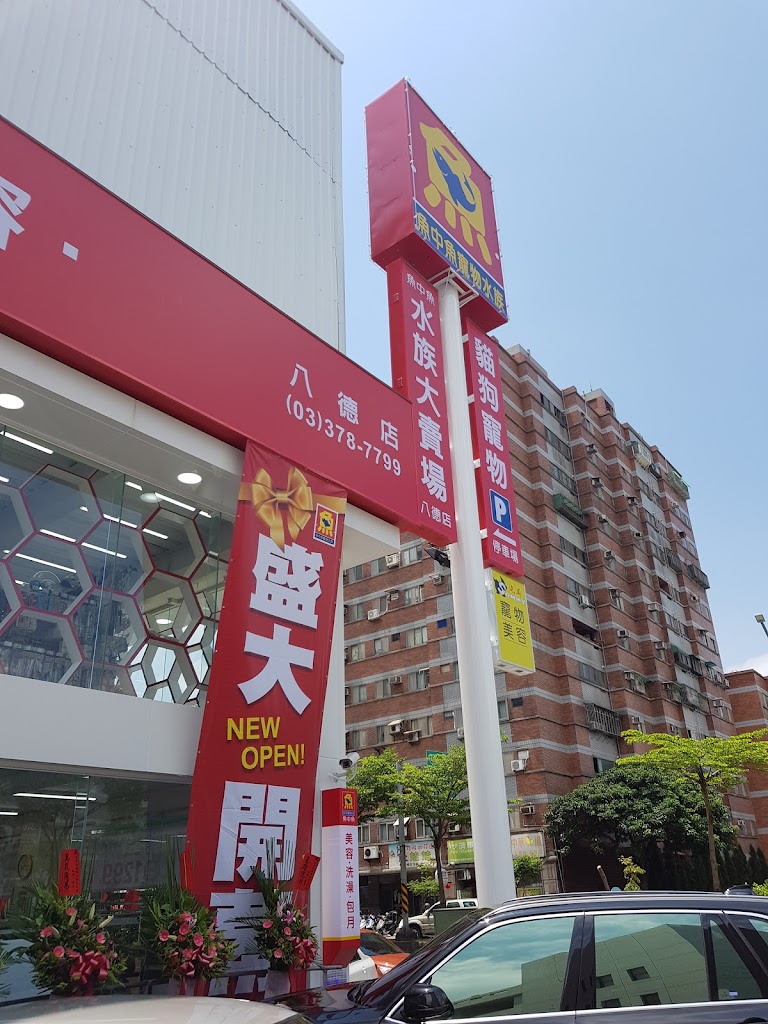 甘露素食 的照片