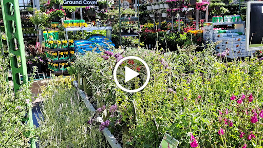 Home Improvement Store «The Home Depot», reviews and photos, 2580 Notre Dame Blvd, Chico, CA 95928, USA