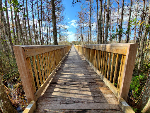 Nature Preserve «Grassy Waters Preserve», reviews and photos, 8264 Northlake Blvd, West Palm Beach, FL 33412, USA