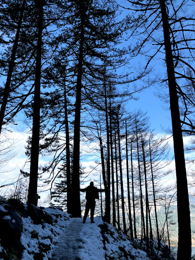 Tourist Attraction «Fairy Falls», reviews and photos, Wahkeena Trail #420, Corbett, OR 97019, USA