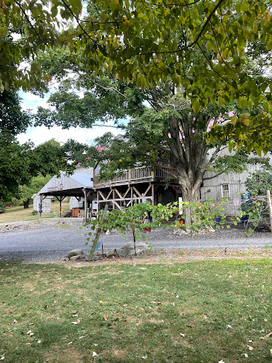 Winery «Palaia Winery», reviews and photos, 10 Sweet Clover Rd, Highland Mills, NY 10930, USA