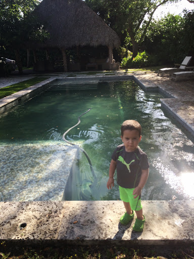 Swimming Pool Repair Service «Swim And Splash Pool And Spa Repair», reviews and photos, 9300 SW 136th St, Miami, FL 33176, USA