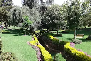 Arboretum Tree Garden image