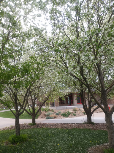 Golf Course «Walnut Creek Golf Preserve», reviews and photos, 10555 Westmoor Dr, Broomfield, CO 80021, USA