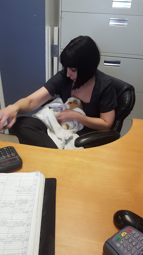 Pet Groomer «Pampered Pet Grooming & Supply», reviews and photos, 1127 North Ave #14, Burlington, VT 05408, USA