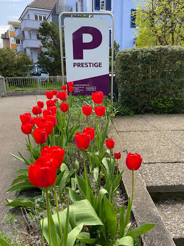 Rezensionen über Prestige Immobilien AG in Zürich - Immobilienmakler