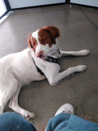 Pet Supply Store «Petco Animal Supplies», reviews and photos, 3430 W State St, Grand Island, NE 68803, USA