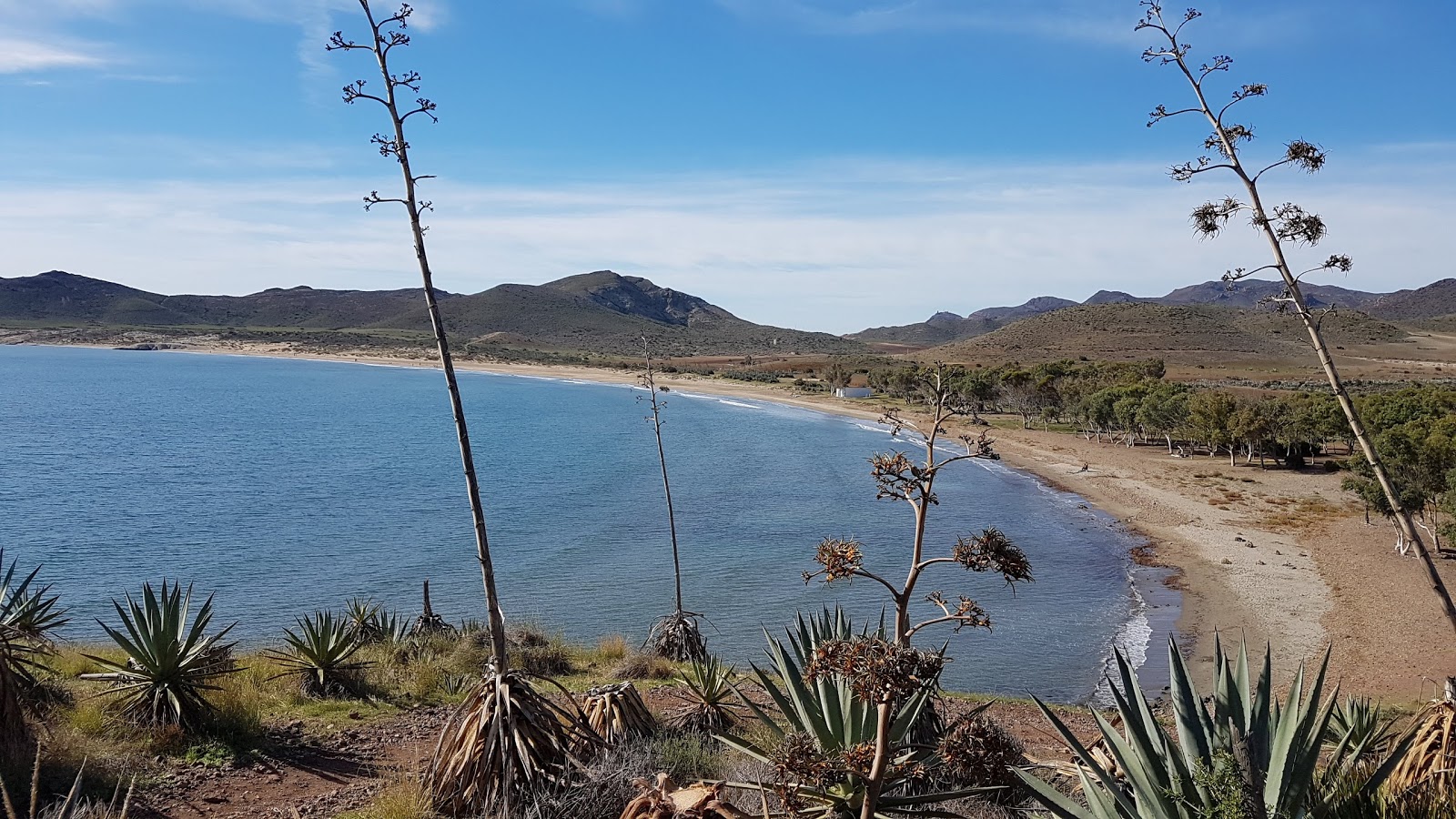 Photo de Plage de Gênes avec un niveau de propreté de très propre