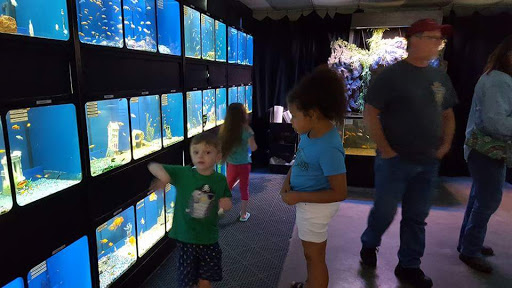 Pet Store «Fish Bowl», reviews and photos, 2117 E Race Ave, Searcy, AR 72143, USA