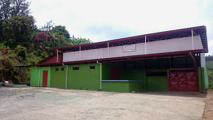Gimnasio Ojo de Agua de León Cortes - PWH4+RQR, 336, San José, Aserrí, Costa Rica