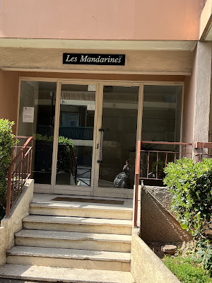 Karine Darmon naturopathe à Saint-Laurent-du-Var à Saint-Laurent-du-Var
