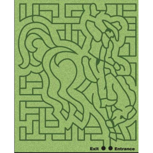 Tourist Attraction «Partin Ranch Corn Maze», reviews and photos, 5601 N Canoe Creek Rd, Kenansville, FL 34739, USA