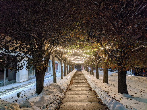 Museum «Memorial Art Gallery», reviews and photos, 500 University Ave, Rochester, NY 14607, USA