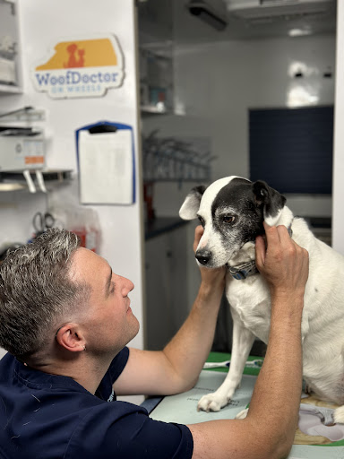 WoofDoctor On Wheels image