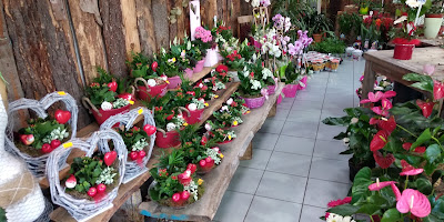 Le jardin de manon à Creutzwald