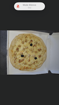Plats et boissons du Pizzas à emporter Pizzéria Obélix à Bâgé-le-Châtel - n°19