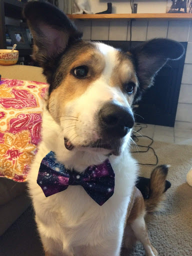 Tattoo Shop «Electric 13 Tattoo», reviews and photos, 2001 Guadalupe St, Austin, TX 78705, USA