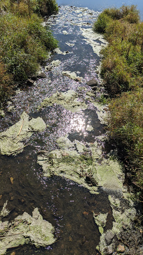 Nature Preserve «Rock Run Preserve - Paul V. Nichols Access», reviews and photos, Essington Rd, Joliet, IL 60435, USA