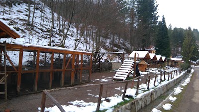 Photos of Motel Stovrela
