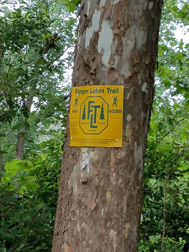 Nature Preserve «Sweedler and Thayer Preserves», reviews and photos, 10 Townline Rd, Ithaca, NY 14850, USA