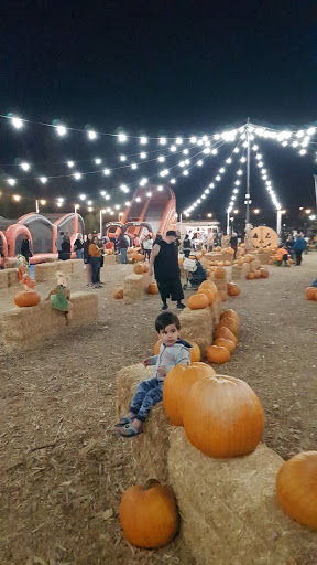 Health Club «Crunch - Simi Valley», reviews and photos, 2655 Erringer Rd, Simi Valley, CA 93065, USA