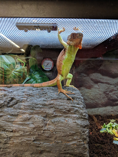 Pet Supply Store «Petco Animal Supplies», reviews and photos, 420 El Cerrito Plaza, El Cerrito, CA 94530, USA