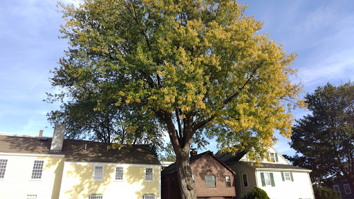 Historical Place «Salem Maritime National Historic Site», reviews and photos, 160 Derby St, Salem, MA 01970, USA