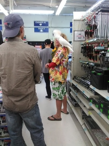 Hardware Store «Harbor Freight Tools», reviews and photos, 811 S Tustin St, Orange, CA 92866, USA