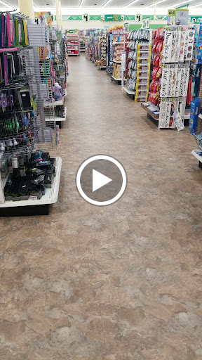 Dollar Store «Dollar Tree», reviews and photos, 11008 Warwick Blvd #400, Newport News, VA 23601, USA