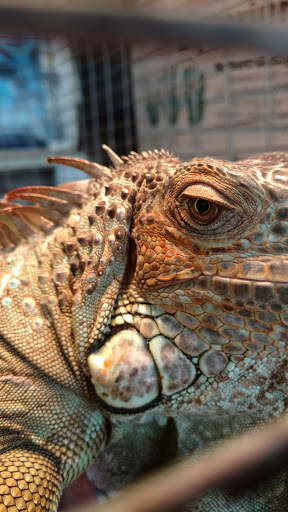 Pet Supply Store «Pets A Plenty», reviews and photos, 3925 NY-281, Cortland, NY 13045, USA