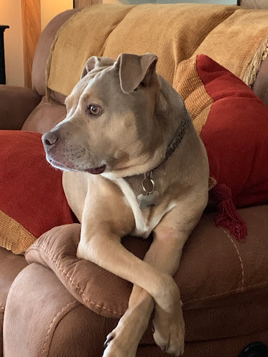 2174 Pickwick Dr, Camarillo, CA 93010, USA