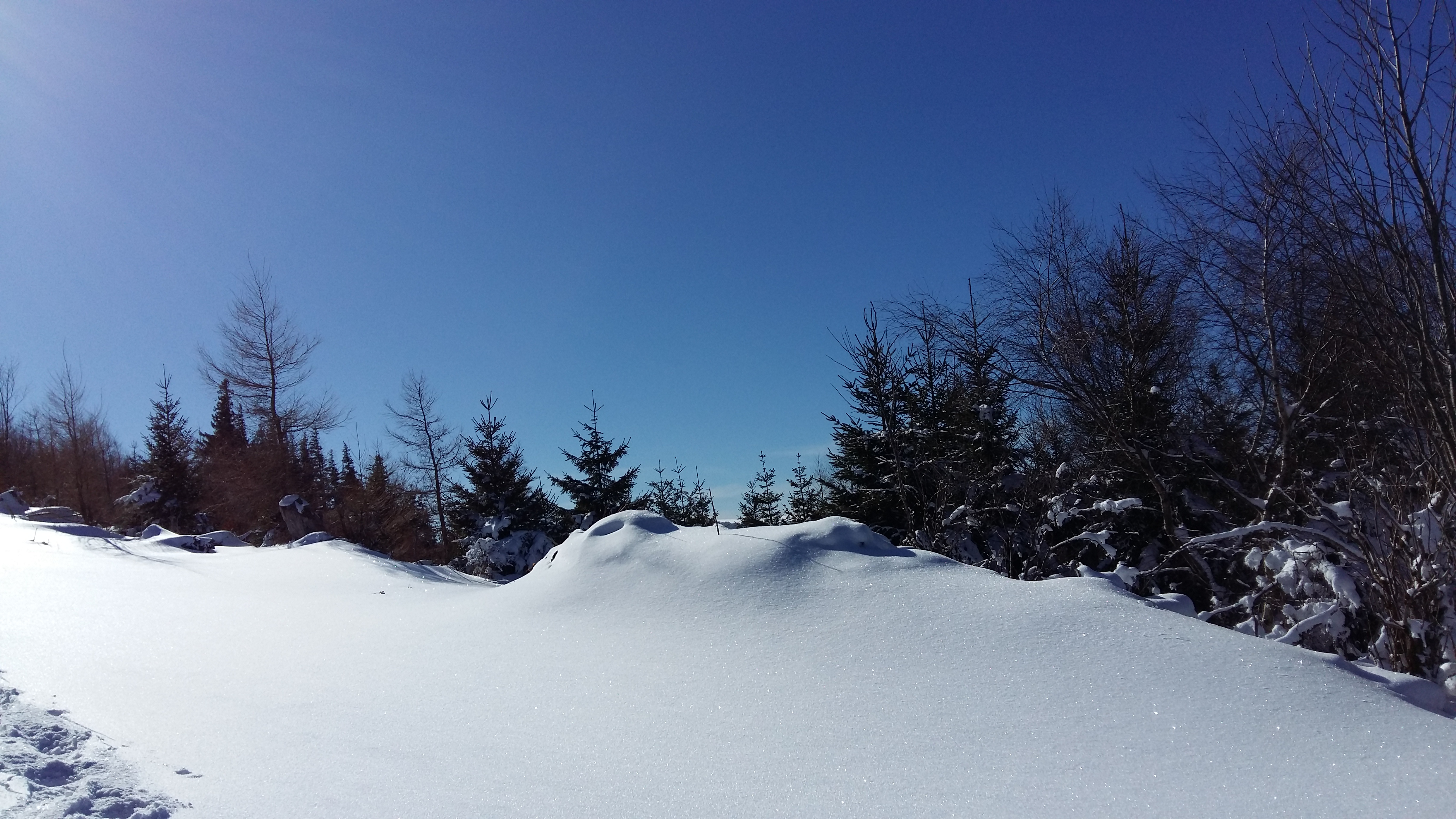 Photo n° 8 de l'avis de Antoine.o fait le 14/02/2018 à 07:15