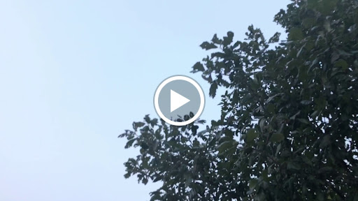 Park «Spring Lake Park», reviews and photos, 396 Springlake Ln, Aurora, IL 60504, USA