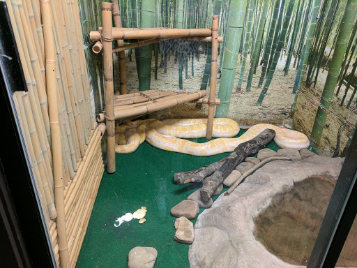 Zoo «Gulf Breeze Zoo», reviews and photos, 5701 Gulf Breeze Pkwy, Gulf Breeze, FL 32563, USA