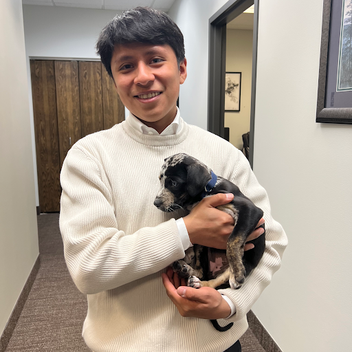 Insurance Agency «Matt Jonza - State Farm Insurance Agent», reviews and photos