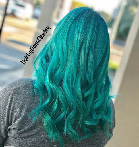 Beauty Salon «Salon Bliss», reviews and photos, 212 SE Magnolia Exd, Ocala, FL 34471, USA