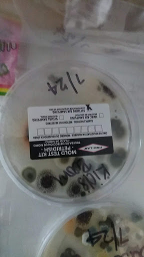 Property Management Company «The Grandin Agency Property Management», reviews and photos, 422 Campbell Ave SW, Roanoke, VA 24016, USA