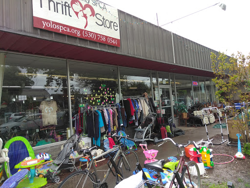 Thrift Store «SPCA Yolo County Thrift Store», reviews and photos, 920 3rd St A,F, Davis, CA 95616, USA