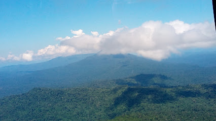Helipad PT Gunungbayan Pratamacoal