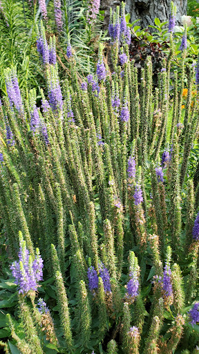 Park «Falls Park», reviews and photos, 460 Falls Park Dr, Pendleton, IN 46064, USA