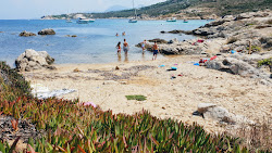 Photo de Alga beach situé dans une zone naturelle