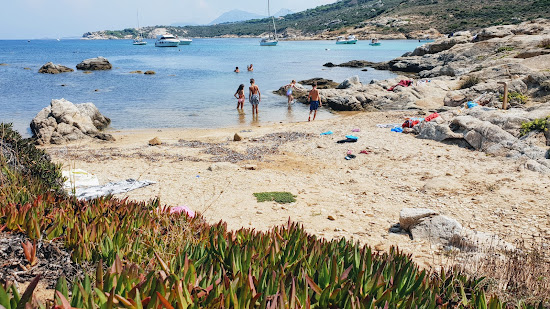 Alga beach